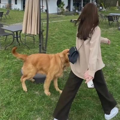 顽童春心